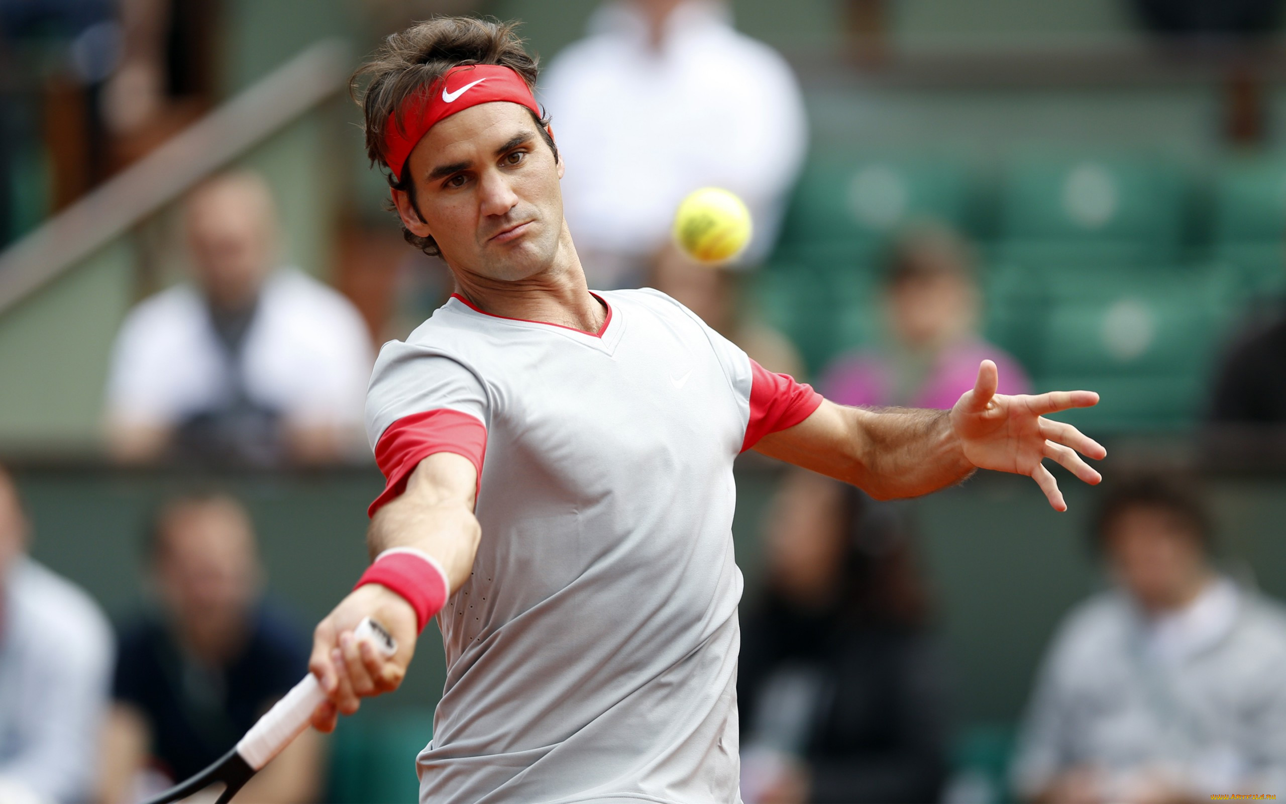 roger federer, , , federer, roger, tennis